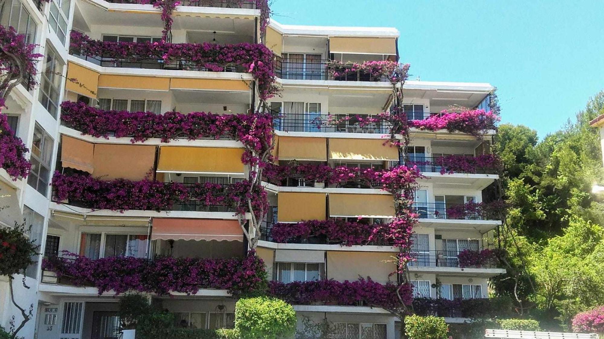 דירות טורמולינוס La Carihuela A 5 Minutos De La Playavistas Al Mar מראה חיצוני תמונה